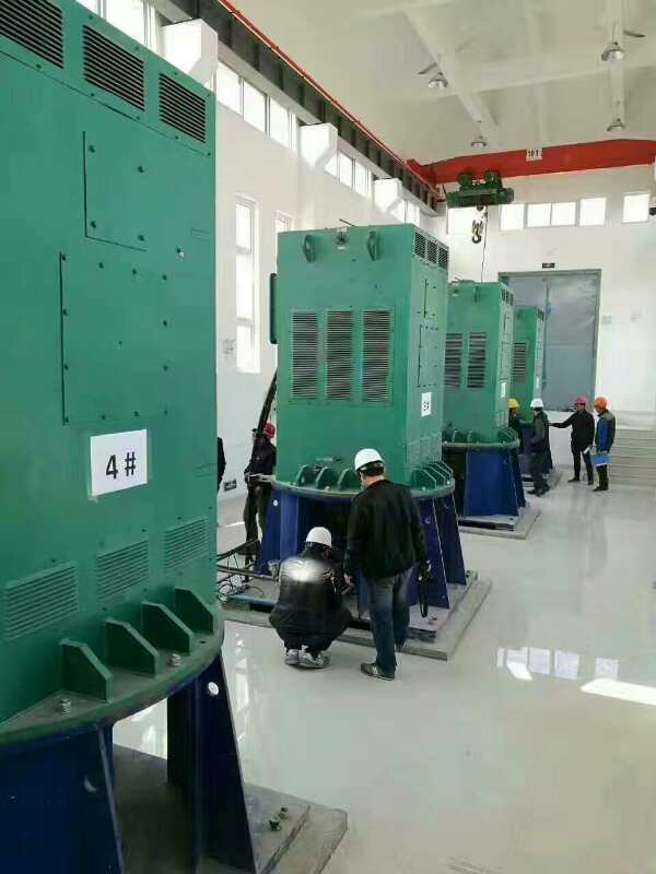 YKK6302-6某污水处理厂使用我厂的立式高压电机安装现场