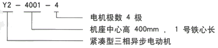 YR系列(H355-1000)高压YKK6302-6三相异步电机西安西玛电机型号说明